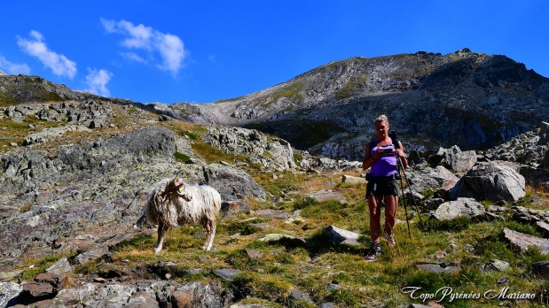Randonnee-Pic-lac-d-Arrious-et-Petit-Arriel_092