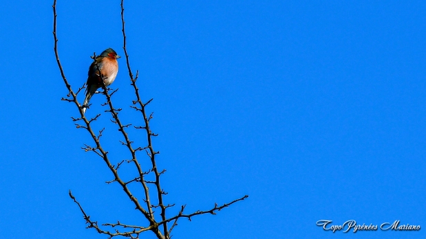 Randonnee-Le-Beout_033