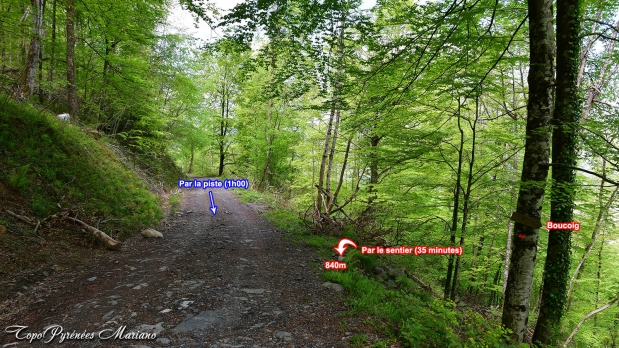 Trone-du-Roi-itineraire-versant-Nord_007