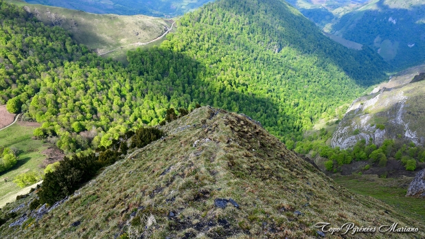 Trone-du-Roi-itineraire-versant-Nord_039