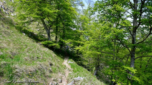 Trone-du-Roi-itineraire-versant-Nord_089