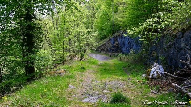 Trone-du-Roi-itineraire-versant-Nord_090