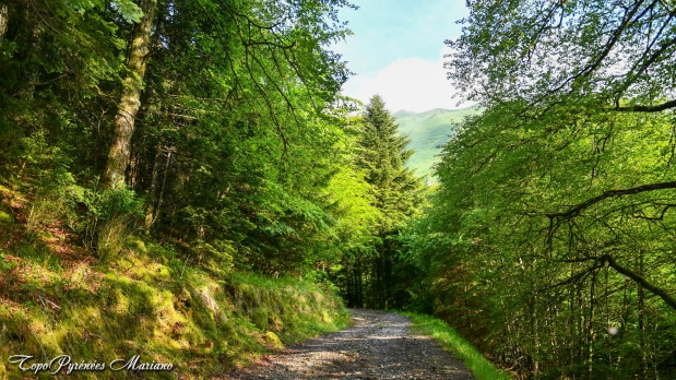 Pic-de-Lariou-1903m_003