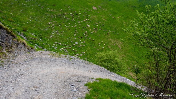 Pic-de-Lariou-1903m_063