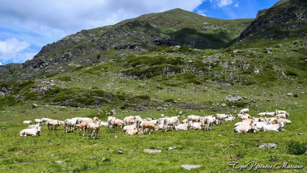 Randonnee-au-Lurien-annee-2021_088
