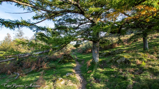 Les-Trois-Couronnes-Penas-de-Haya_082