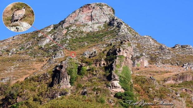 Irubelakaskoa-et-Akomendi_008