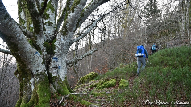 Irubelakaskoa-et-Akomendi_029