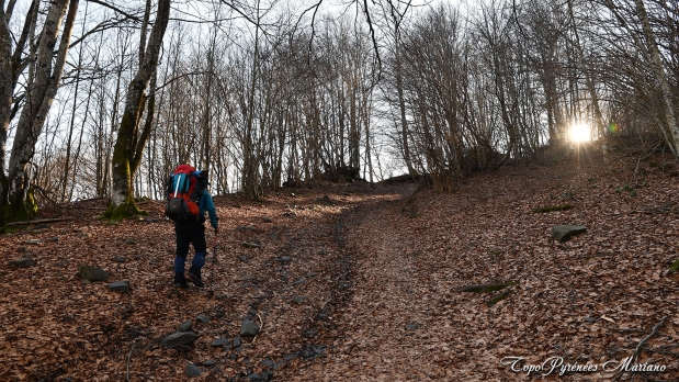 Sortie-Hivernale-au-Puech_007