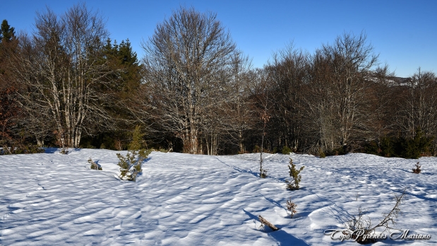 Sortie-Hivernale-au-Puech_051