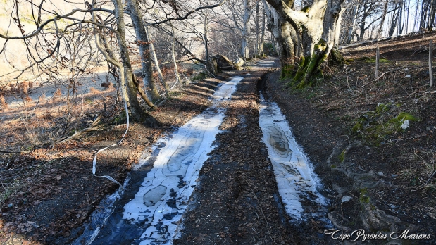 Sortie-Hivernale-au-Puech_058