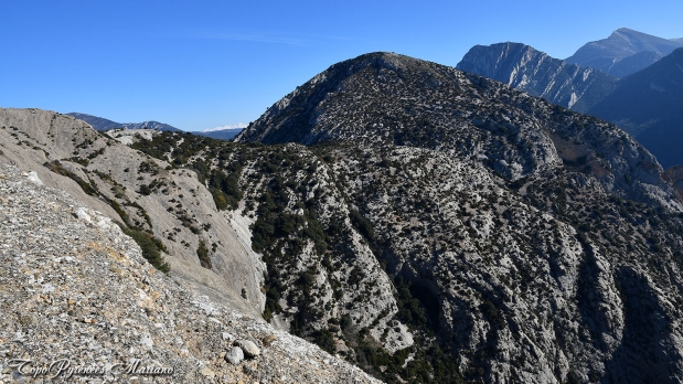 Pico-Boron-Aragon_029