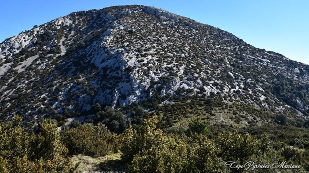 Pico-Boron-Aragon_046
