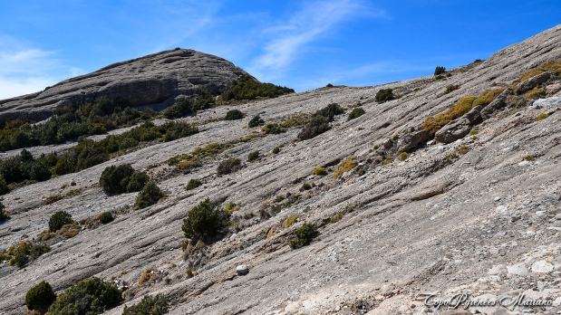 Pico-Boron-Aragon_072