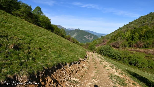 Les-Toupiettes_045