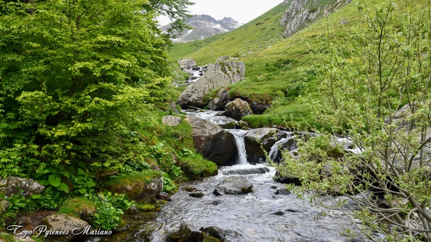 Cretes-de-Moustarde-en-boucle_006