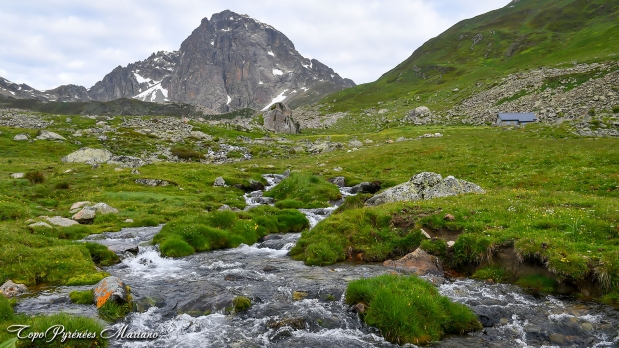 Cretes-de-Moustarde-en-boucle_010