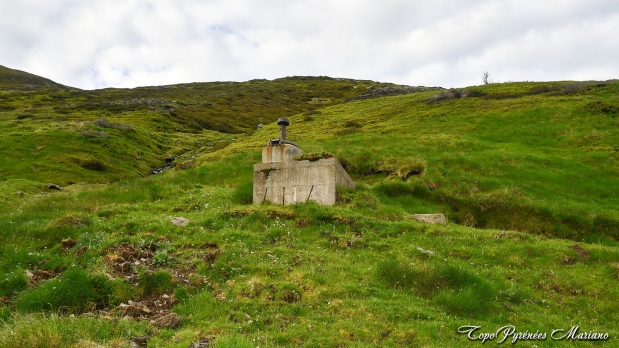Cretes-de-Moustarde-en-boucle_012