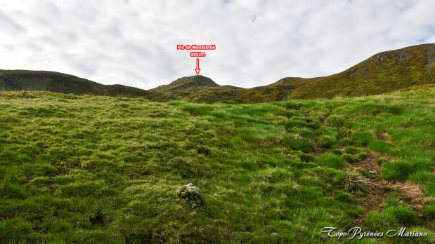 Cretes-de-Moustarde-en-boucle_015