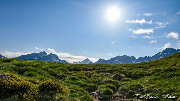 Cretes-de-Moustarde-en-boucle_022