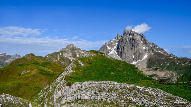 Cretes-de-Moustarde-en-boucle_034