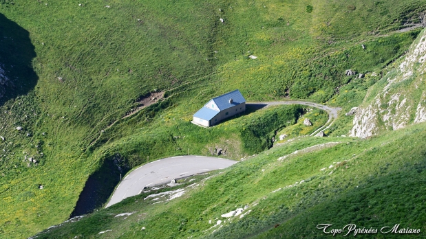 Cretes-de-Moustarde-en-boucle_038