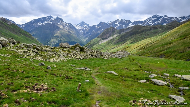 Cretes-de-Moustarde-en-boucle_069