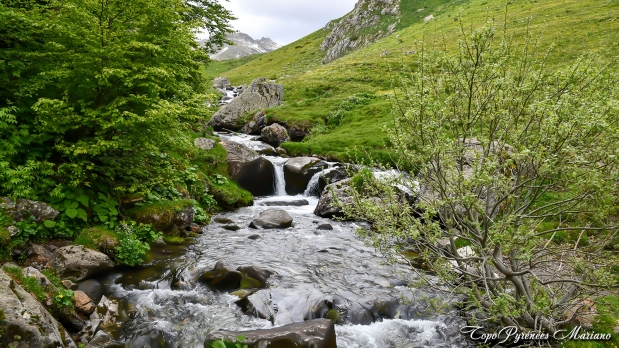 Cretes-de-Moustarde-en-boucle_075
