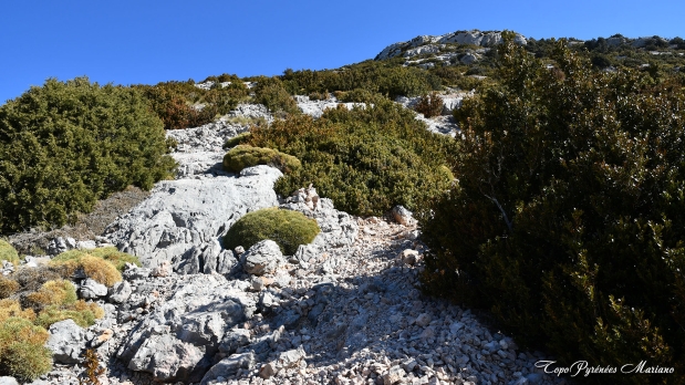 Boron-Par-Los-Pepes_043