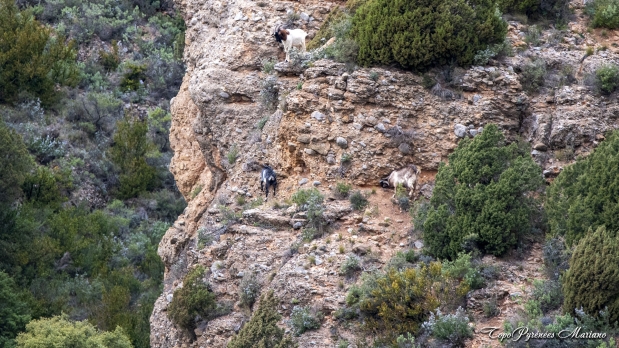 Via-Ferrata-Pena-Rueba-2024_009