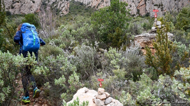 Via-Ferrata-Pena-Rueba-2024_012