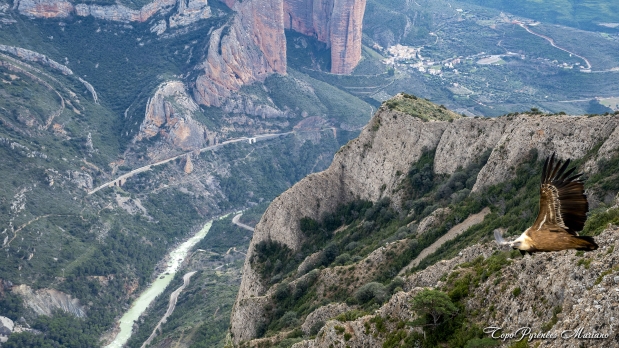 Via-Ferrata-Pena-Rueba-2024_057