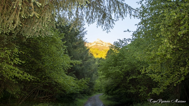Pic-de-Gerbe-aller-retour_003