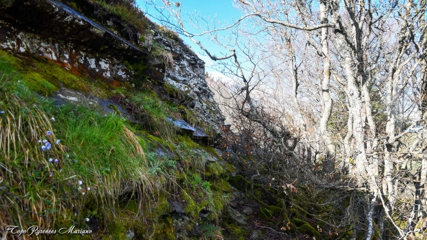 Pic-de-Gerbe-aller-retour_041