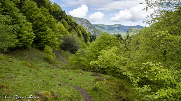 Pic-de-Gerbe-aller-retour_095
