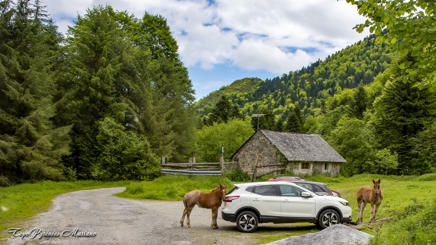 Pic-de-Gerbe-aller-retour_097