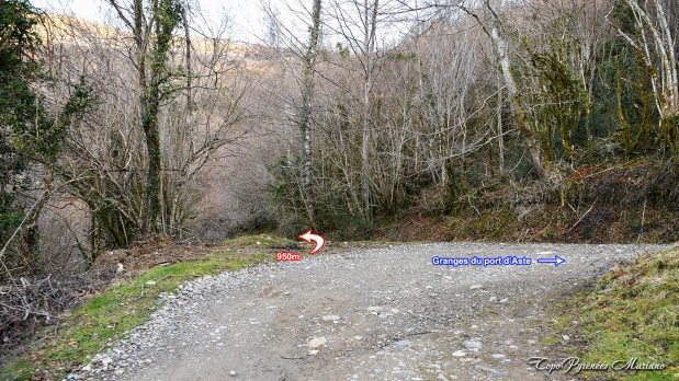 Falaise-aux-vautours_009