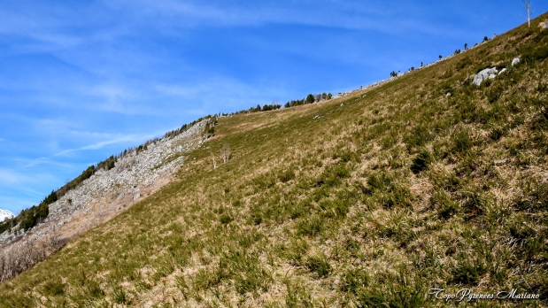 Falaise-aux-vautours_016